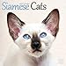 Siamese Cats Calendar - 2016 Wall calendars - Animal Calendar - Monthly Wall Calendar by Avonside Studio