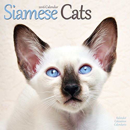 Siamese Cats Calendar - 2016 Wall calendars - Animal Calendar - Monthly Wall Calendar by Avonside Studio