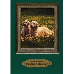 Golden Retriever: Das Rasseportrait