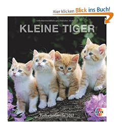 Kleine Tiger 2012. Postkartenkalender