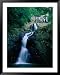 The Argyll Falls, Argyll Falls, Trinidad & Tobago Framed Art Poster Print by Michael Lawrence, 39x49