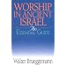 Worship in Ancient Israel: An Essential Guide (Essential Guide (Abingdon Press))