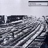 Revue Squarepusher  / Burningn'n Tree