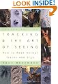 Tracking and the Art of Seeing