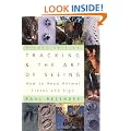 Tracking and the Art of Seeing