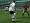 Pro Evolution Soccer 6 (PS2)