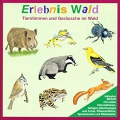 Erlebnis Wald. CD: Tierstimmen und Ger�usche im Wald