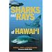 Sharks & Rays of Hawaii