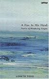 A Fire in His Head: The Adventures of Wandering Aengus