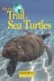 On the Trail of Sea Turtles