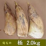 朝掘り生たけのこ 極 2.0kg 朝掘り生たけのこ 極 2.0kg