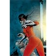 Manhunter Vol. 1: Street Justice (DC Comics)