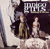 Indigo Girls - Shaming of the Sun