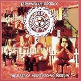 Ned's Atomic Dustbin -  Terminally Groovy: The Singles