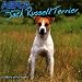 Book Jack Russell Terrier (Aspca Dog and Cat Breed Series)
