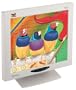 ViewSonic VE180 18" LCD Monitor