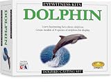 Eyewitness Kit: Dolphin