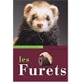 Les furets