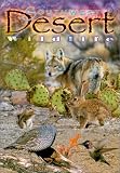 img - for Southwest Desert Wildlife book / textbook / text book