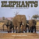 Elephants 2007 Wall Calendar