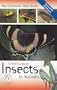 Field Guide to Insects in Australia