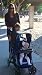 Joovy Caboose Ultralight Stroller Orangie 51JTKllQukL. SL75 Joovy Caboose Ultralight Stroller Orangie