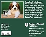 Puppies: 2012 Mini Day-to-Day Calendar-