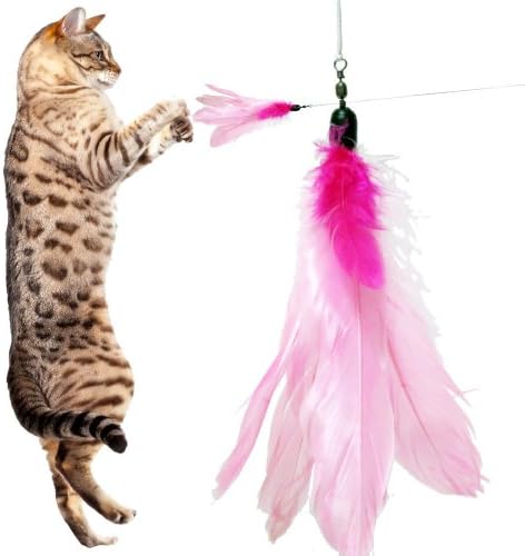 5 Pack Goose Feather Super Refill (PF) For Bird Catcher, Go Cat or Da Bird (Kittens or Older Cats) Unique Feline Chaser Charmer Dangler Dancer Replacement - Best Cat Toys Interactive Training Exercise