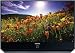 Samsung HL-S4676S 46-Inch Widescreen Slim DLP HDTV
