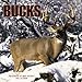 Bucks 2005 Wall Calendar (Deer)