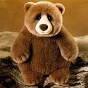 Stuffed Bear