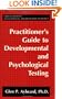 Practitioner's Guide to Developmental and Psychological Testing (Critical Issues in Developmental and Behavioral Pediatrics)