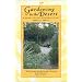 Gardening in the Desert: A Guide to Plant Selection and Care