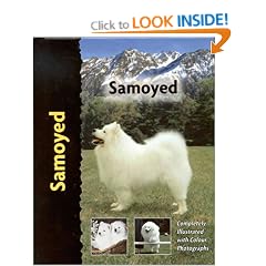 Samoyed (Pet love)