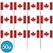 Canadian Flag Picks 50ct