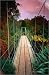 photo poster Suspension Bridge in the 8-hectare Mt Usher Gardens in Ashford. The gardens were ori...