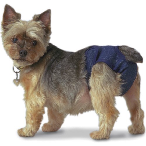 Bramton Diaper Garment X-Lg 55-90 Lb