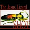 Image de l'album de The Jesus Lizard
