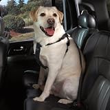 Cruising Companion Nylon Dog Car Harness, Small-Medium, Black