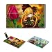 Woocoo, Rozen_Maiden, Anime_Comic_Game, ACG, Customized_USB, Flash_Drive, 4GB