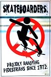 SKATEBOARDERS POSTER Proudly Annoying Pedestrians 24x36