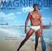 Books : Magnifique 2009 Calendar