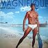 Magnifique 2009 Calendar