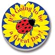 Ladybug, A Great Day Car Coasters - 2 Pack