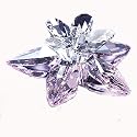 スワロフスキー（SWAROVSKI）Degia, Rosaline Moonlight 956-807[並行品]