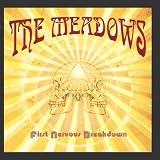 First Nervous Breakdown