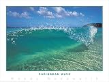 Woody Woodworth Caribbean Wave Surfing Poster