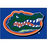 Florida Gators NCAA Tufted Rug (20x30)