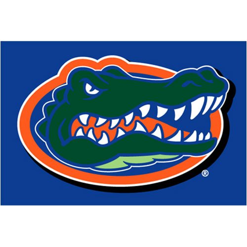 Florida Gators Tufted Rug (20-inch x 30-inch)