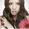 �`����������/I wanna see you(��������) (DVD�t)